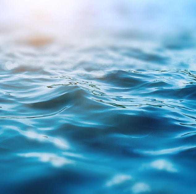 Acquatici_marini_ozonati_famiglia_olfattiva