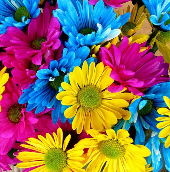 Fioriti_famiglie_olfattive