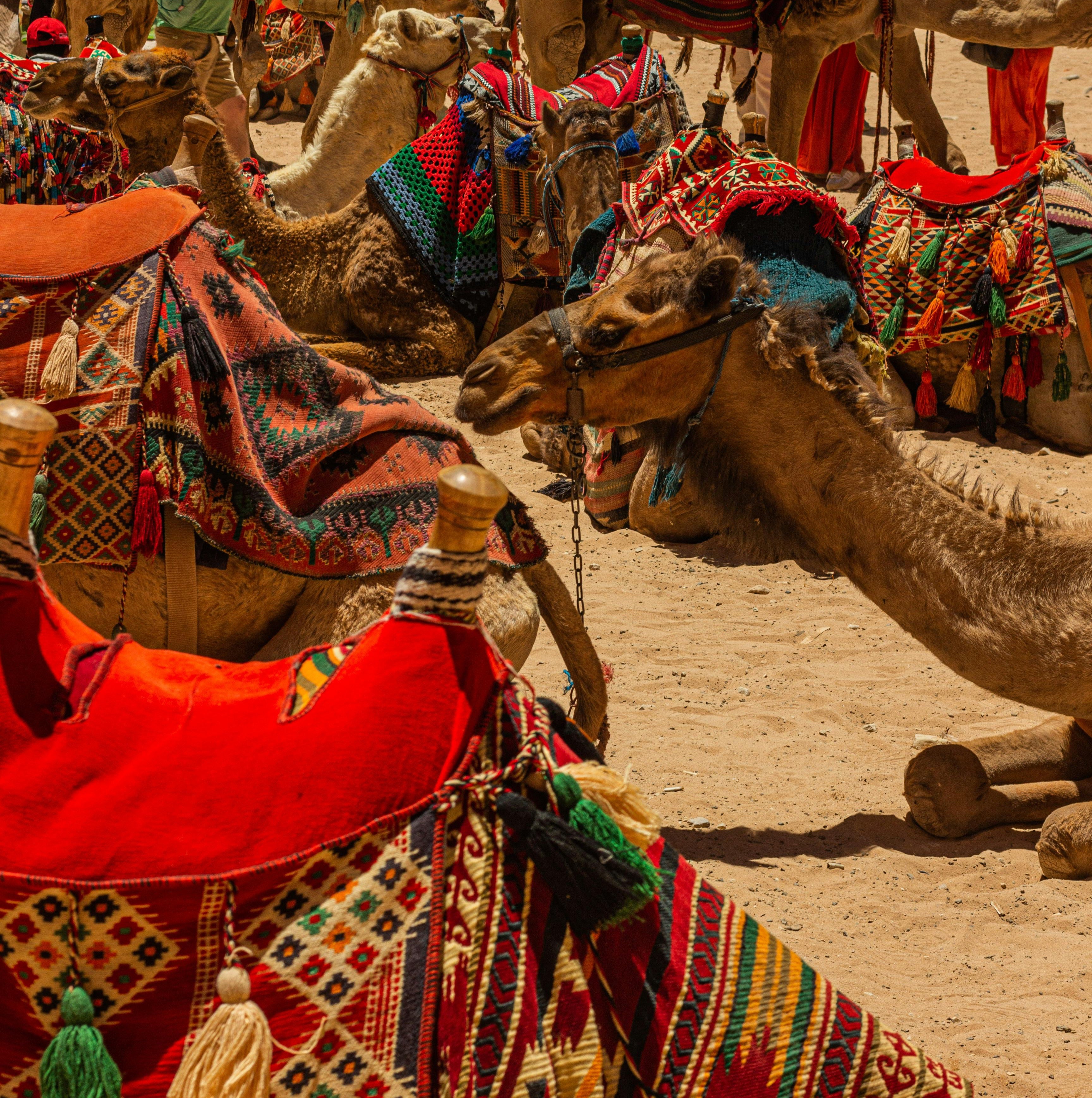 Orientali_ambrati_famiglia_Olfattiva