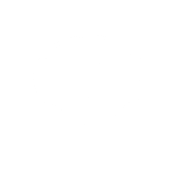 The Spirit of Dubai