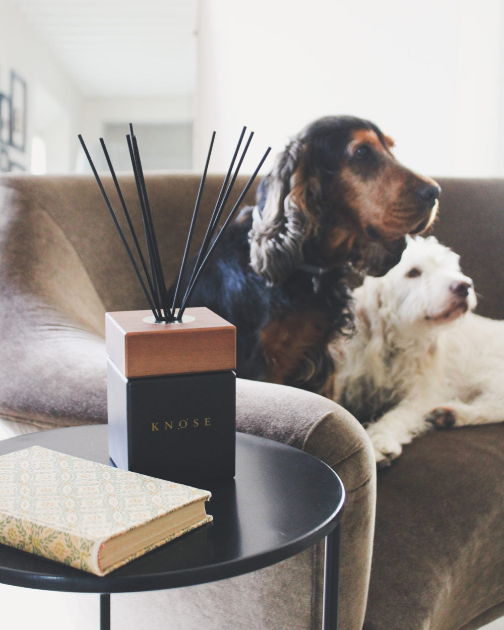 Diffusore ambiente