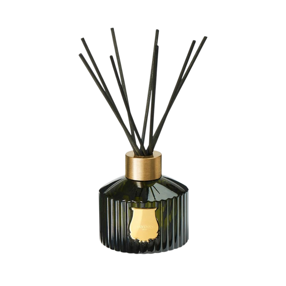 Diffusore ambiente Ernesto