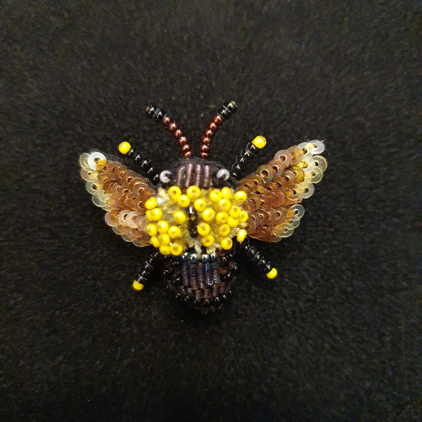 spilla Carpenter Bee - Trovelore