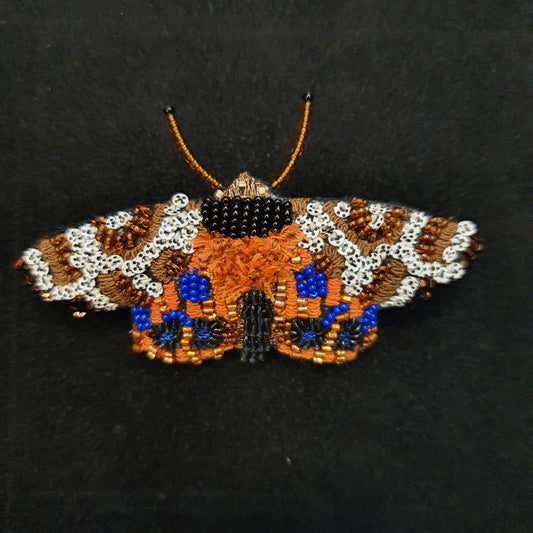 spilla Garden Tiger Moth - Trovelore